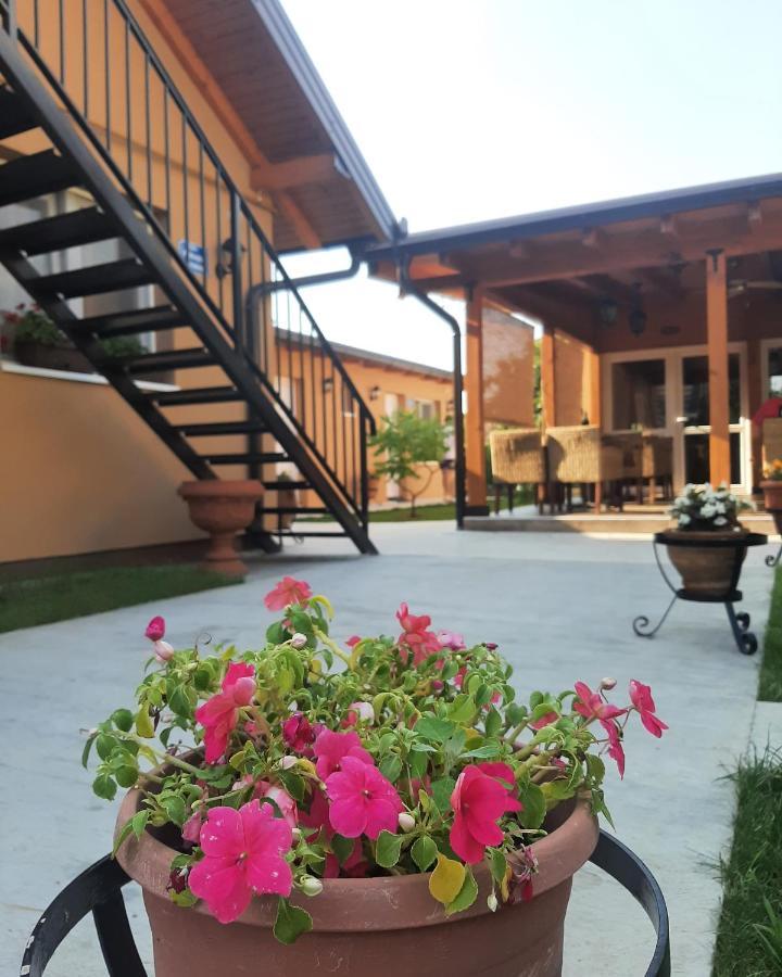 Villa Klara Нови Сад Екстериор снимка