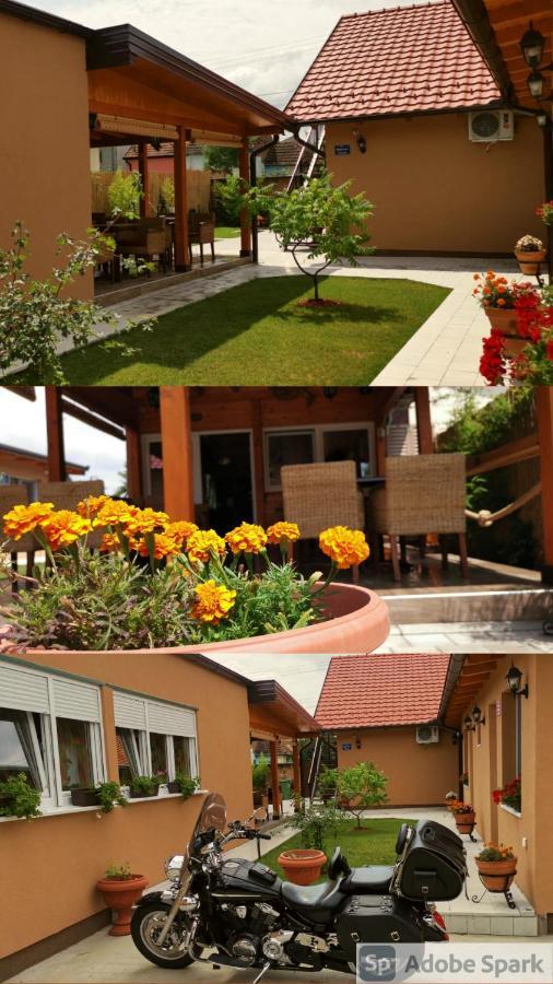 Villa Klara Нови Сад Екстериор снимка