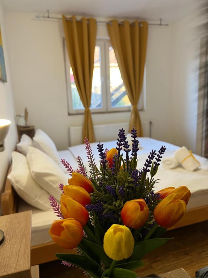 Villa Klara Нови Сад Екстериор снимка